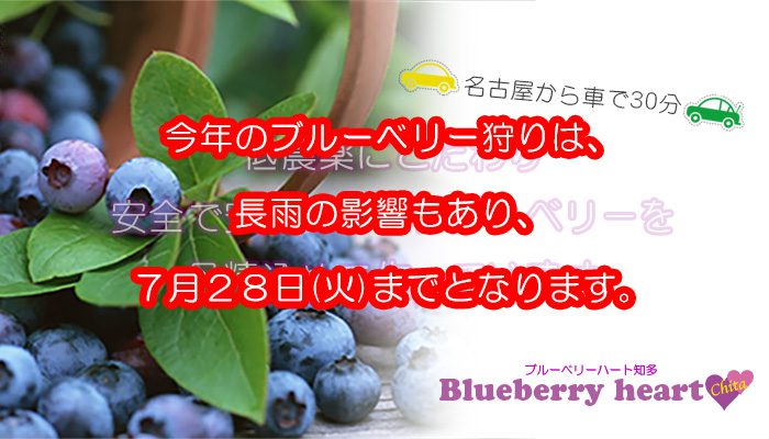 ブルーベリーハート知多 愛知県知多郡で丹精込めてブルーベリーを育てています